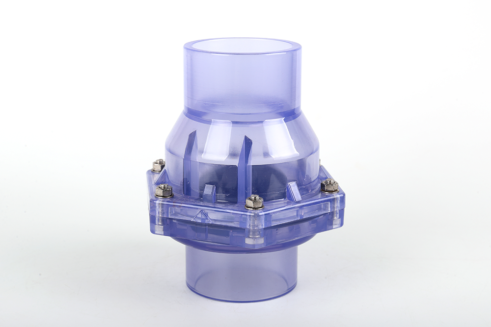 龙山透明翻板式止回阀